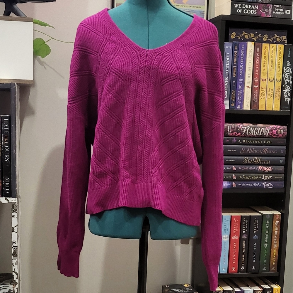 EXPRESS sweater